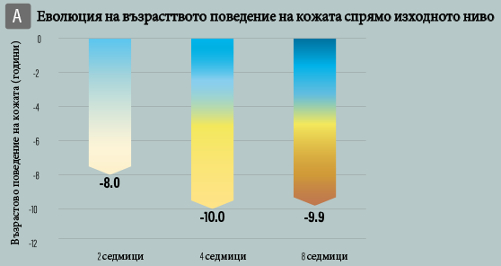 плътност-кожа2-copy.png