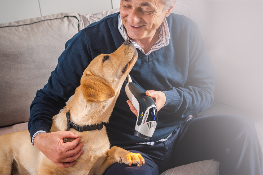 Хиперсветлината в действие: Успешна реконструкция на устна при куче с помощта на BIOPTRON®