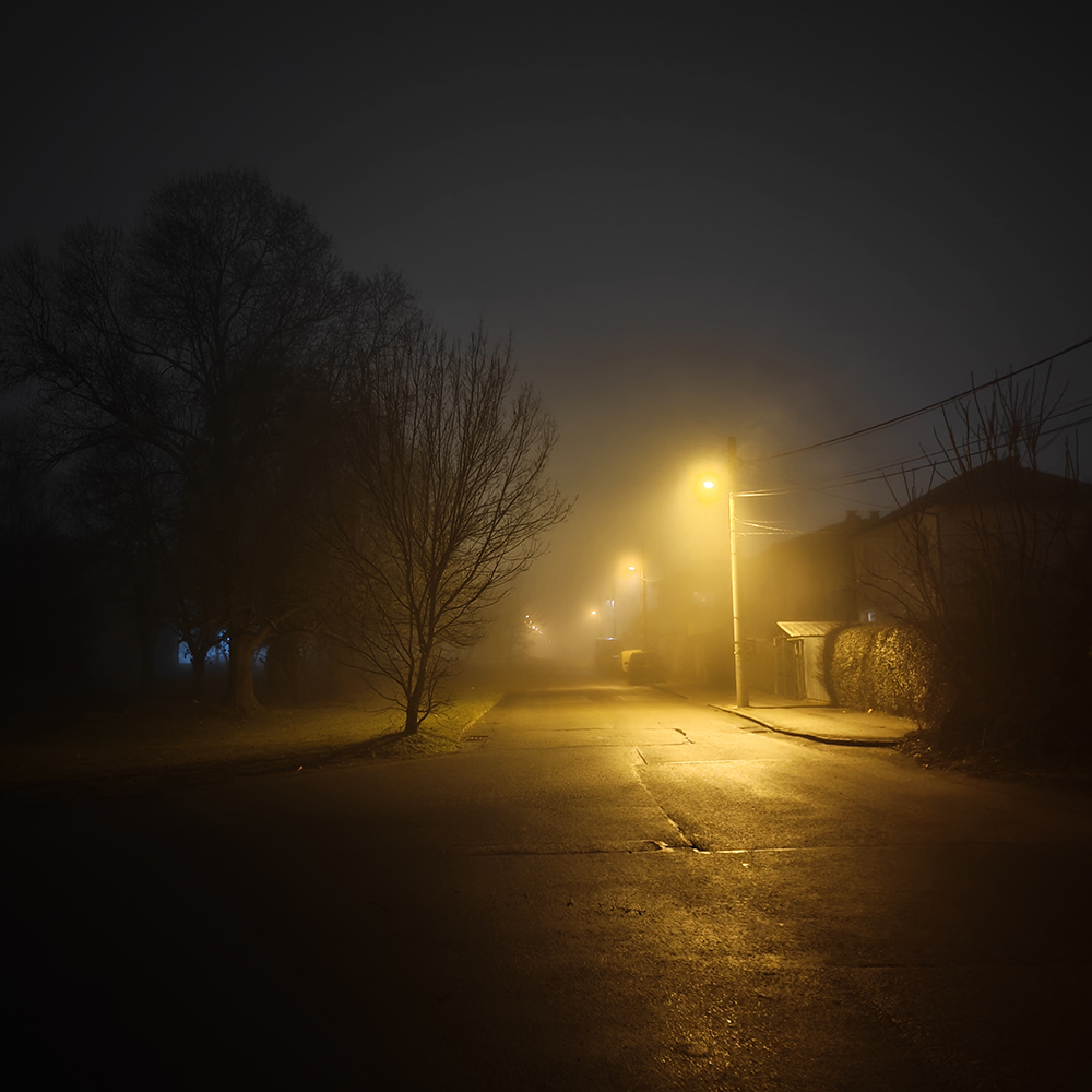 fog-2.jpg